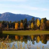 org:/landingpages/winnaars DK NO SE/1e-prize scandinavie.jpg